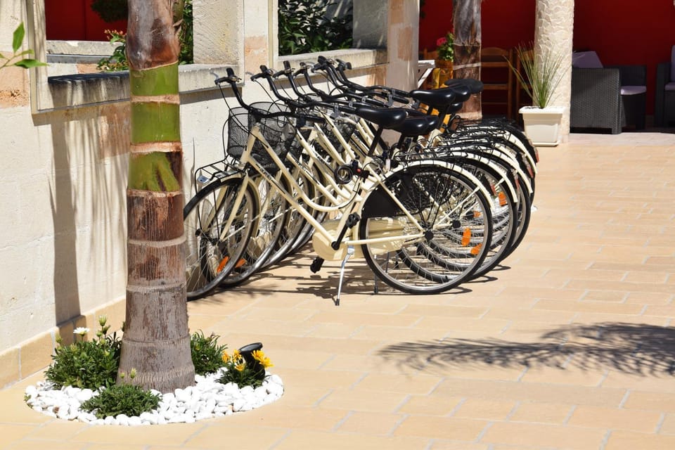 Cycling, Area and facilities