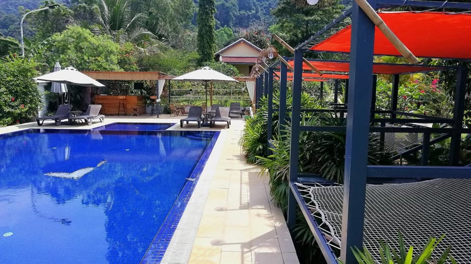 Lounge or bar, Swimming pool, sunbed