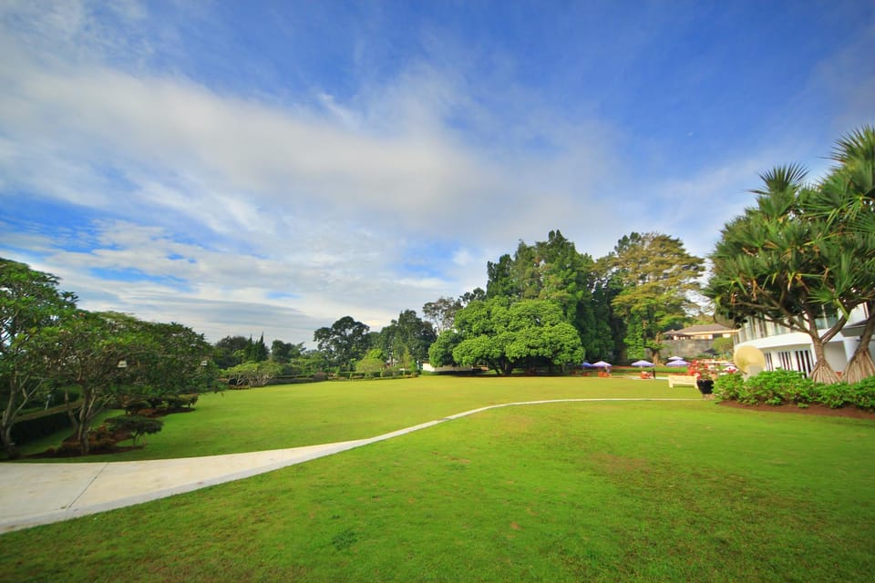 Natural landscape, Garden, Garden view