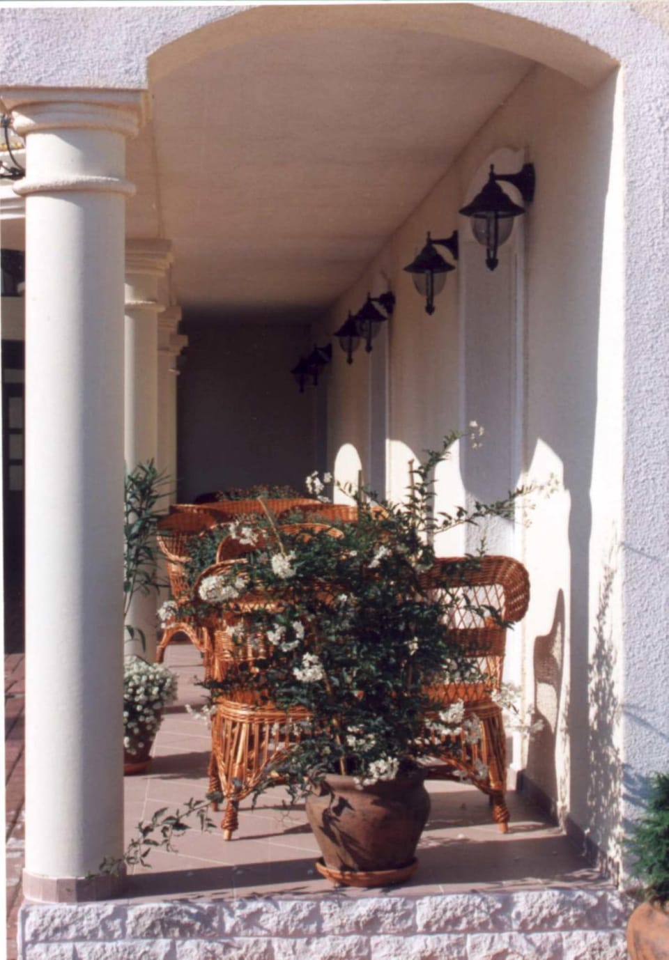 Patio, Day