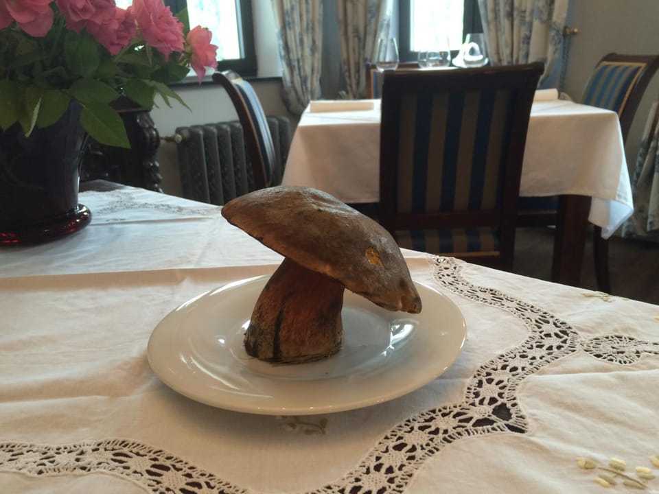 Hunting Lodge Vitkov Hotel in Bavaria