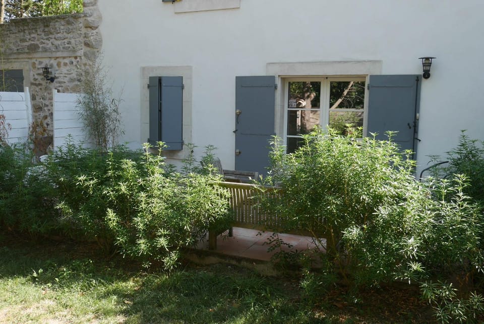 Patio, Garden view