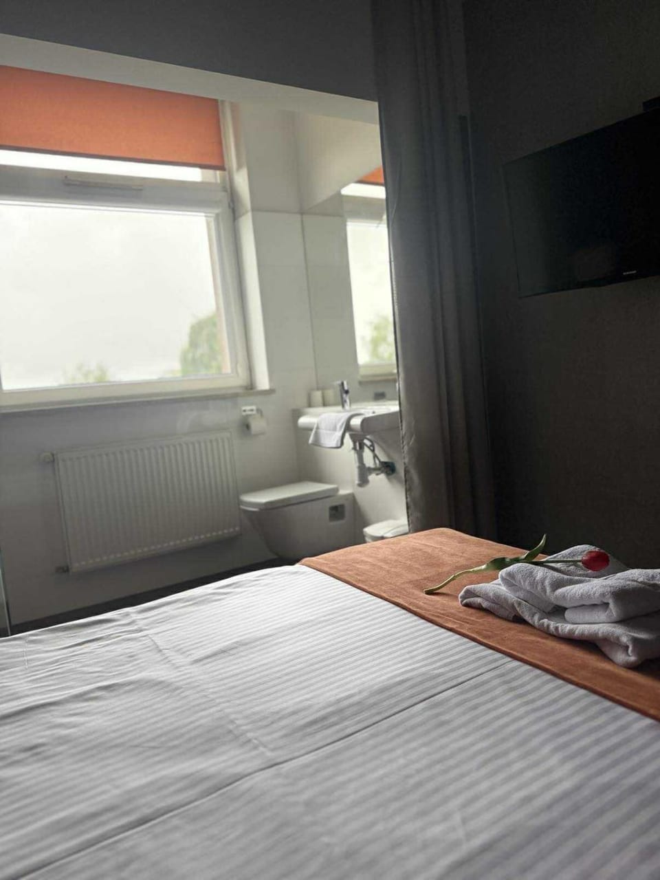 Bathroom, Photo of the whole room