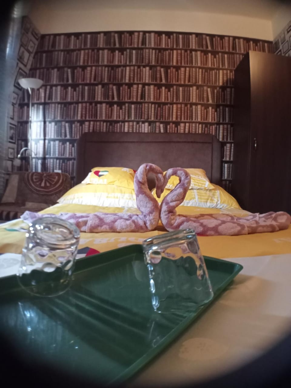 Bed