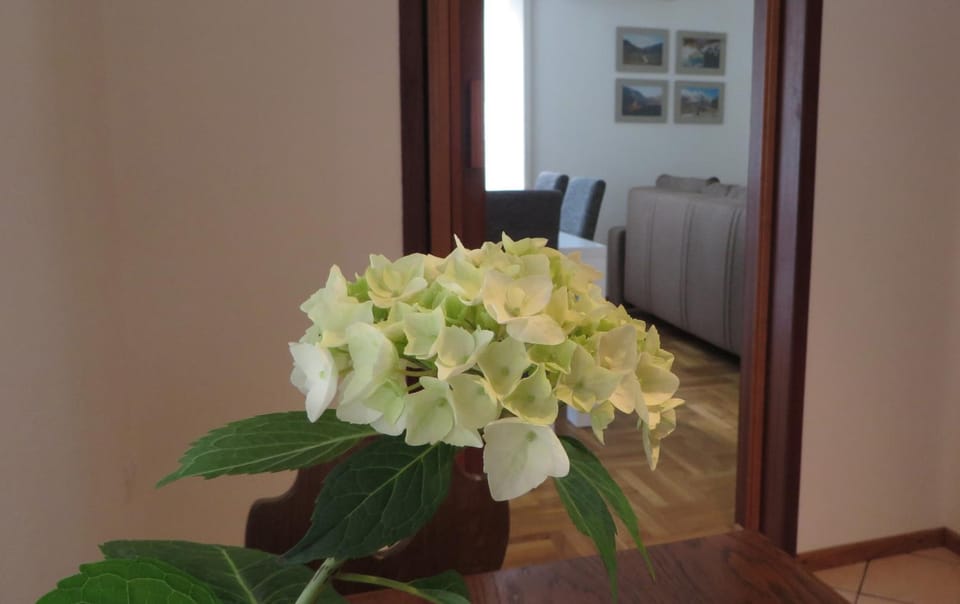 Hisa Lescer Apartment in Friuli-Venezia Giulia