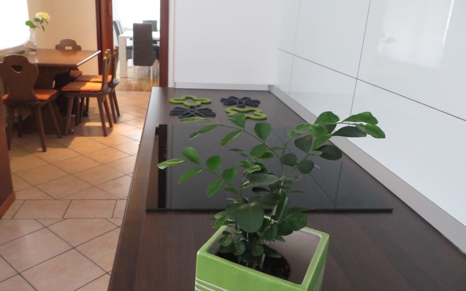 Hisa Lescer Apartment in Friuli-Venezia Giulia