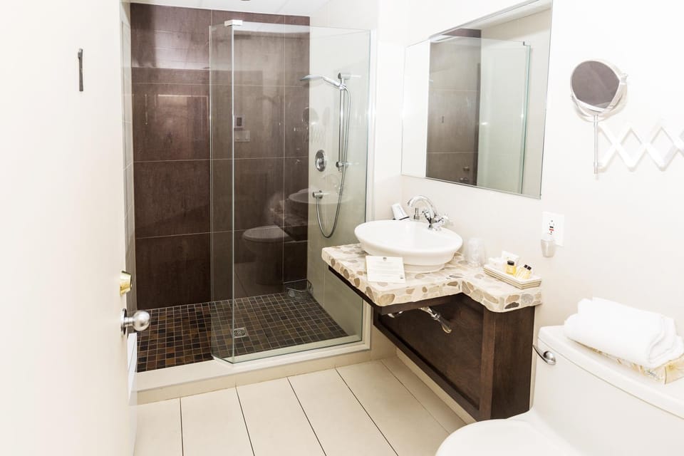 Shower, Toilet, Bathroom, Bedroom