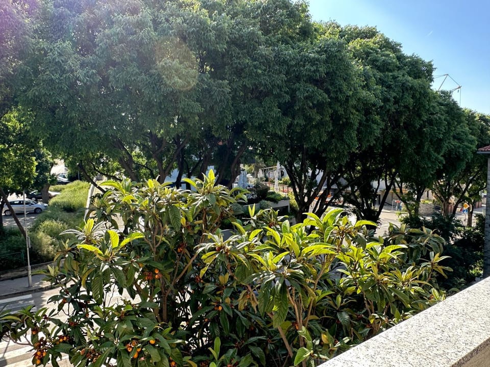 Day, Natural landscape