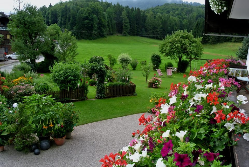 Natural landscape, Garden view