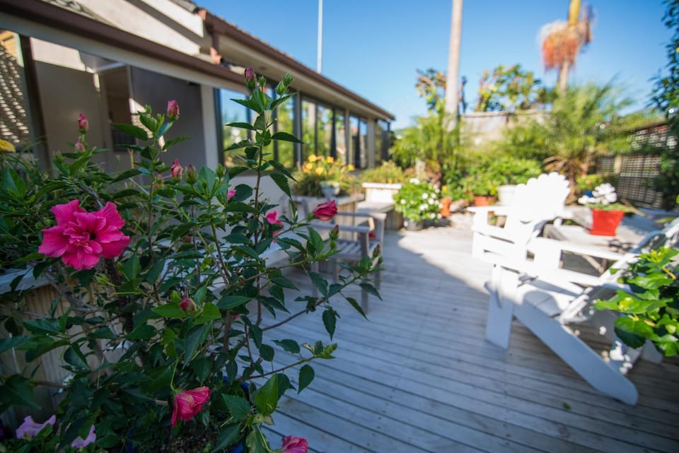 Summer, Garden view