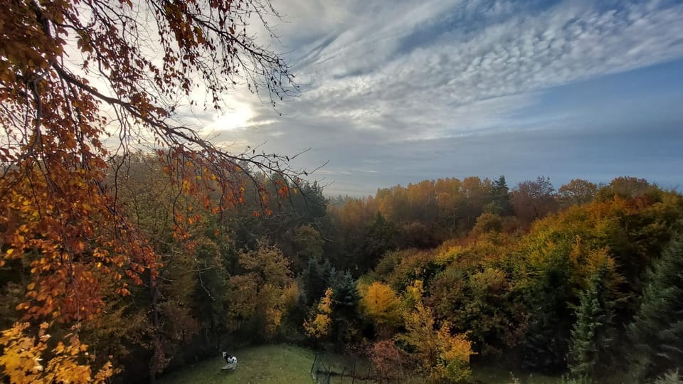 View (from property/room)