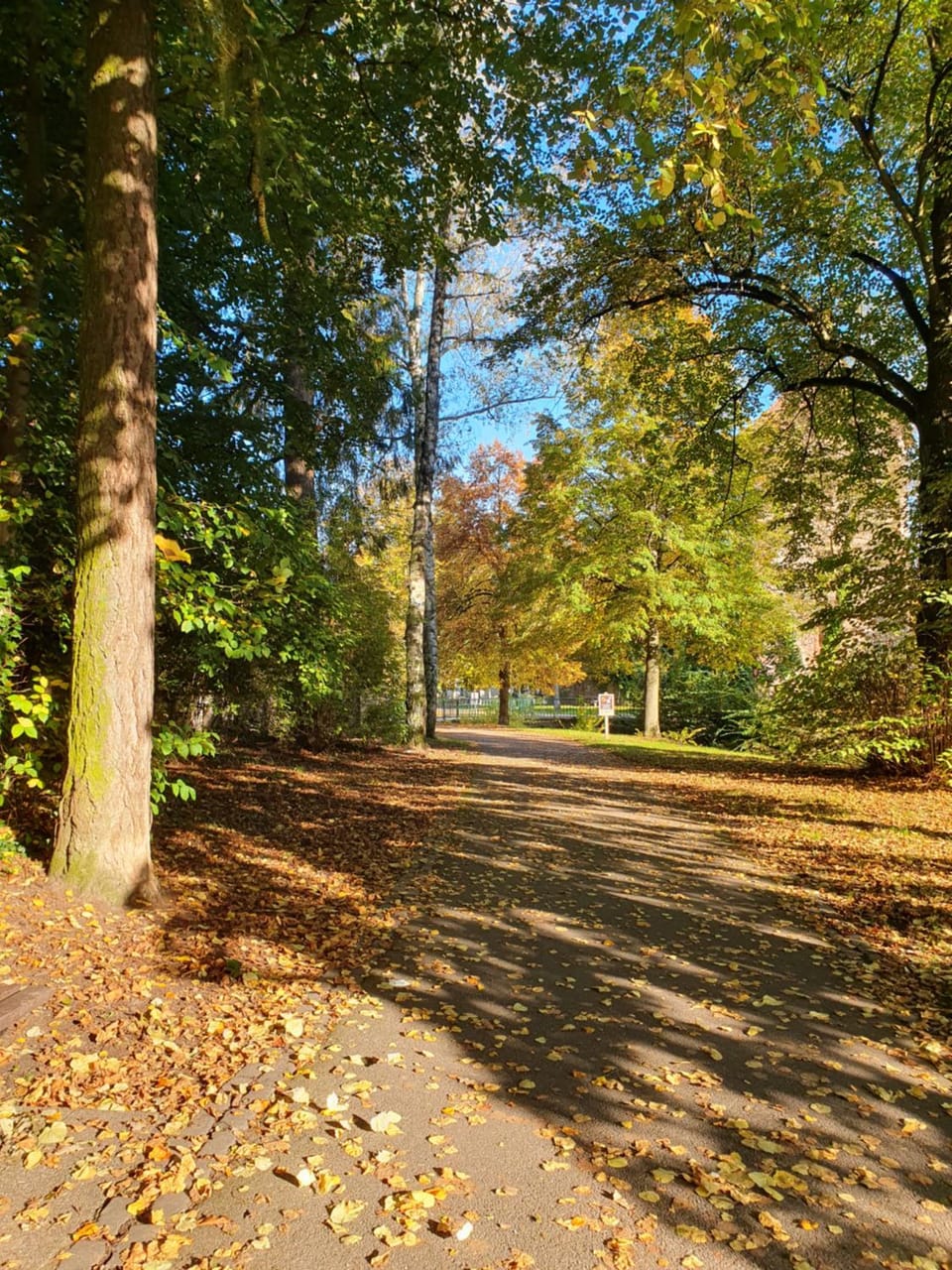 Neighbourhood, Natural landscape, Autumn