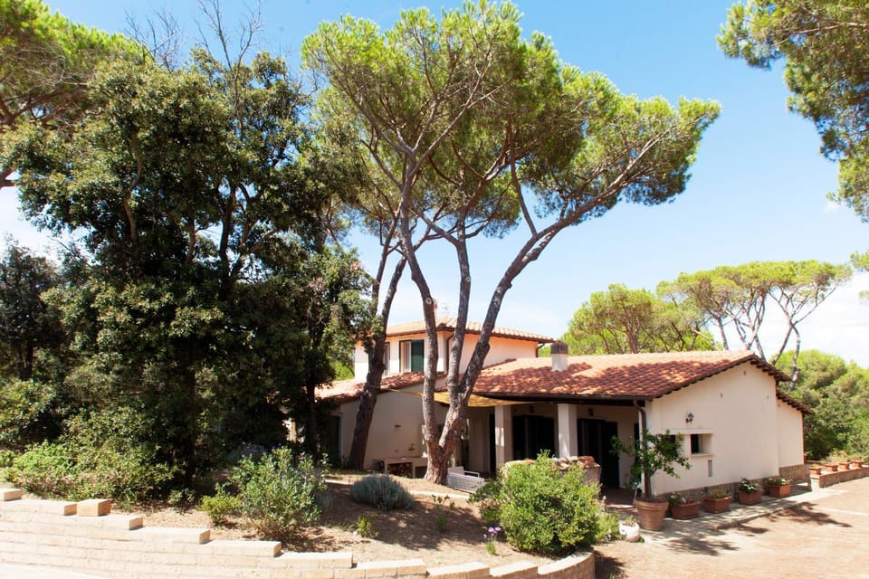 Tenuta le marze Apartment in Tuscany