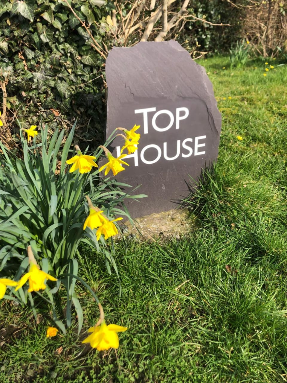 Top House Bed and Breakfast in Welshpool