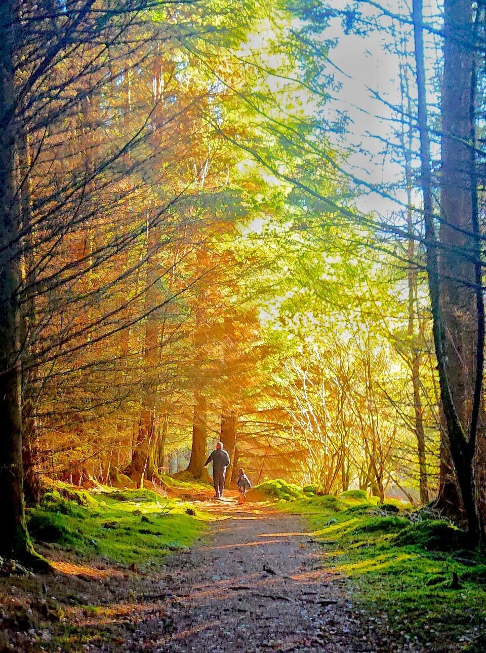 Natural landscape