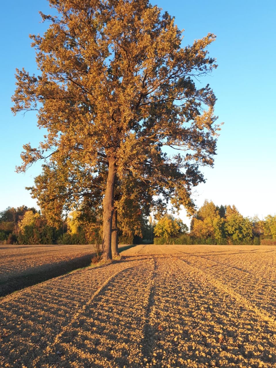 Natural landscape