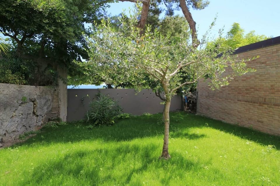 Day, Garden, Garden view