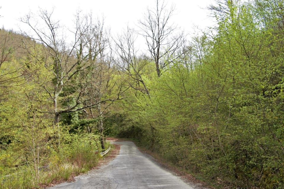 Natural landscape