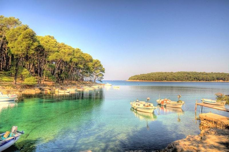 Natural landscape