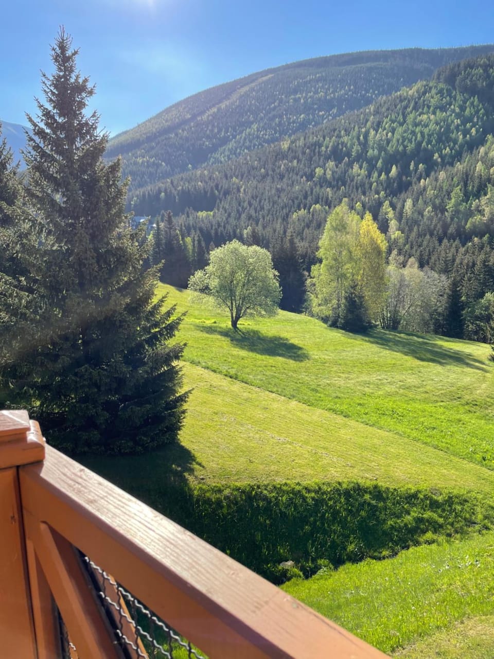 Mountain view