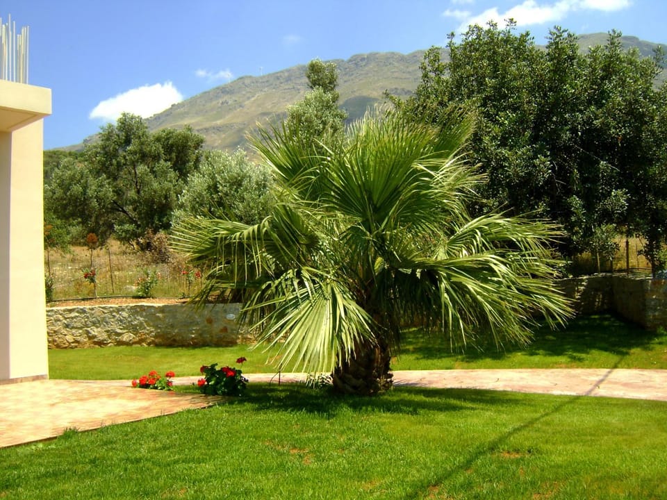 Villa Alexander 2 Villa in Crete
