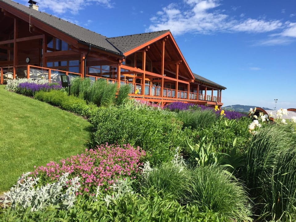 Restaurant/places to eat, Spring, Garden