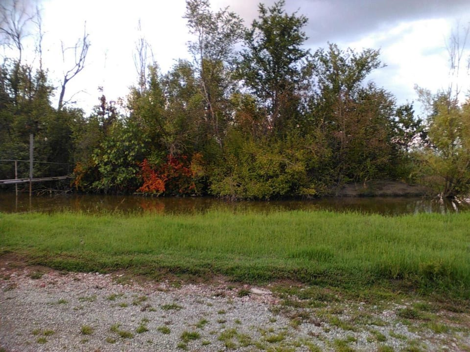 Natural landscape