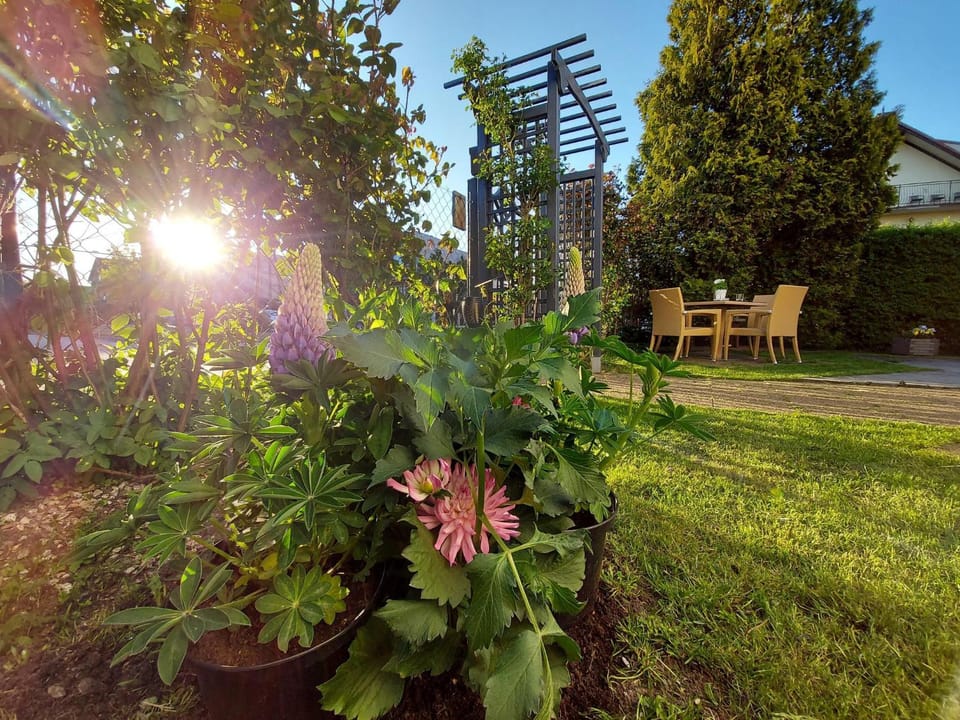 Willa Aquarius Vacation rental in Pomeranian Voivodeship