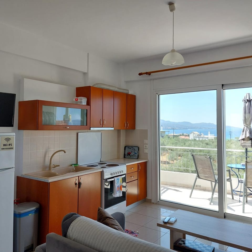 Kitchen or kitchenette, kitchen