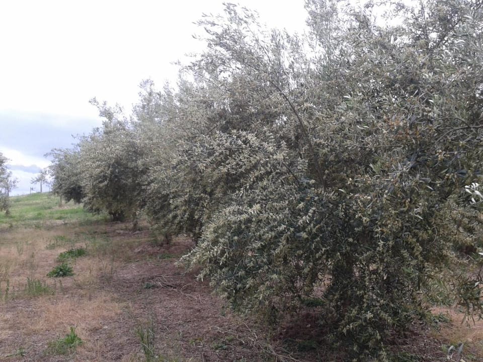 Natural landscape