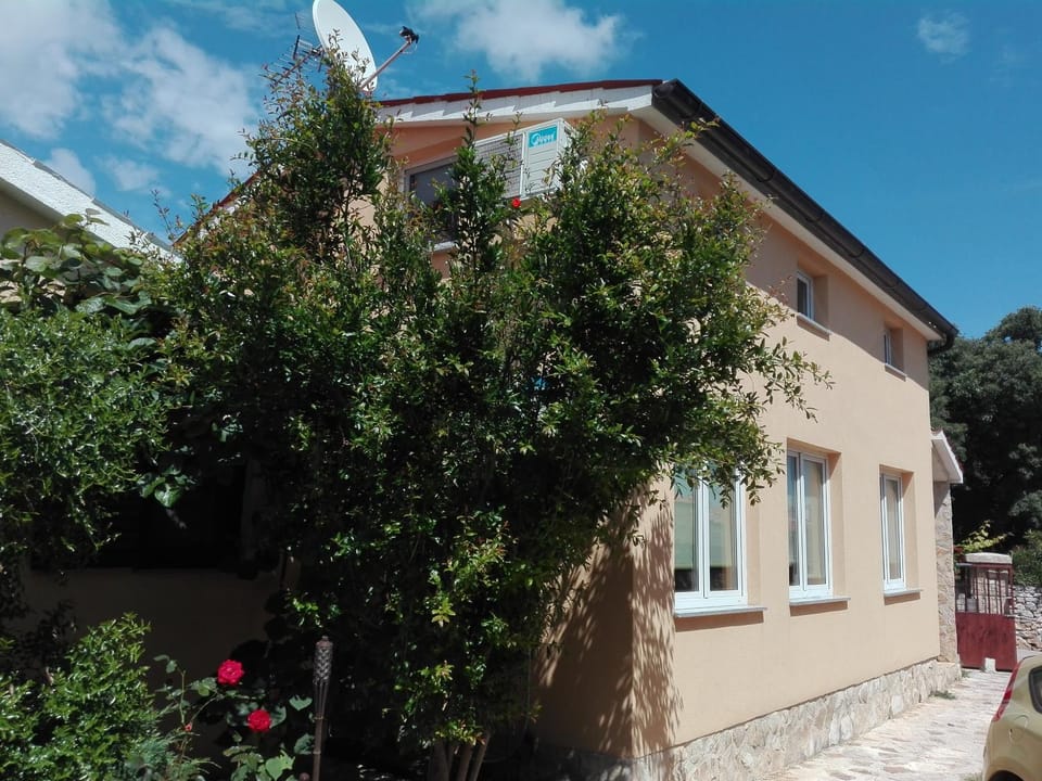 Facade/entrance, Garden