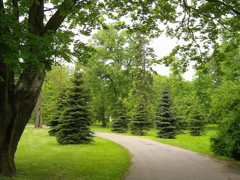 Neighbourhood, Natural landscape, Hiking