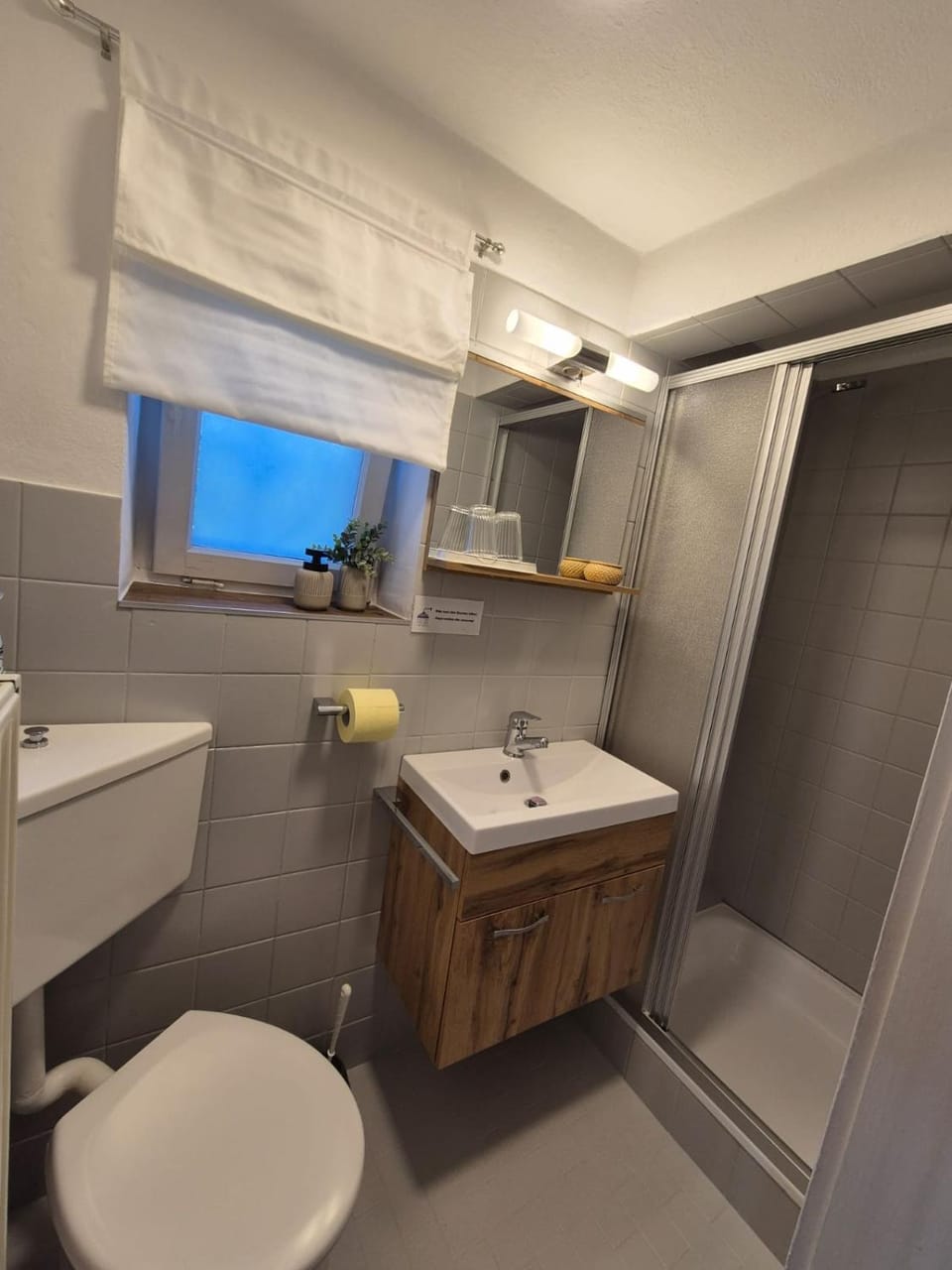 Ferienwohnung Anne Apartment in Salzburgerland