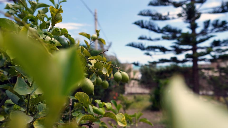 B&B La Veranda Bed and Breakfast in Licata
