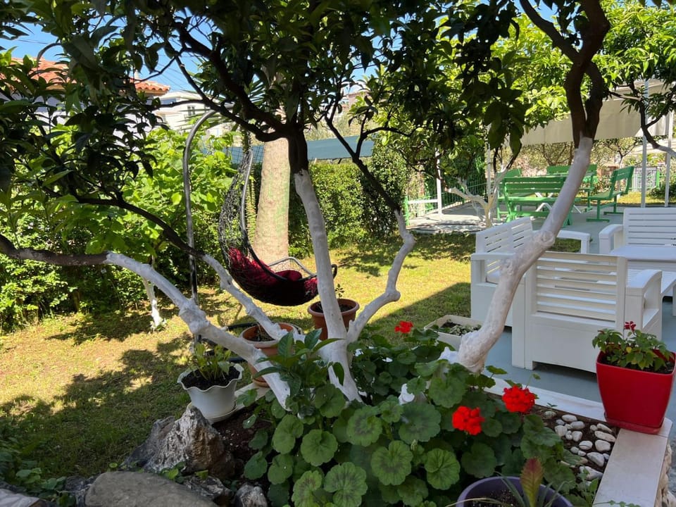 Patio, Day, Natural landscape, Garden, Garden view