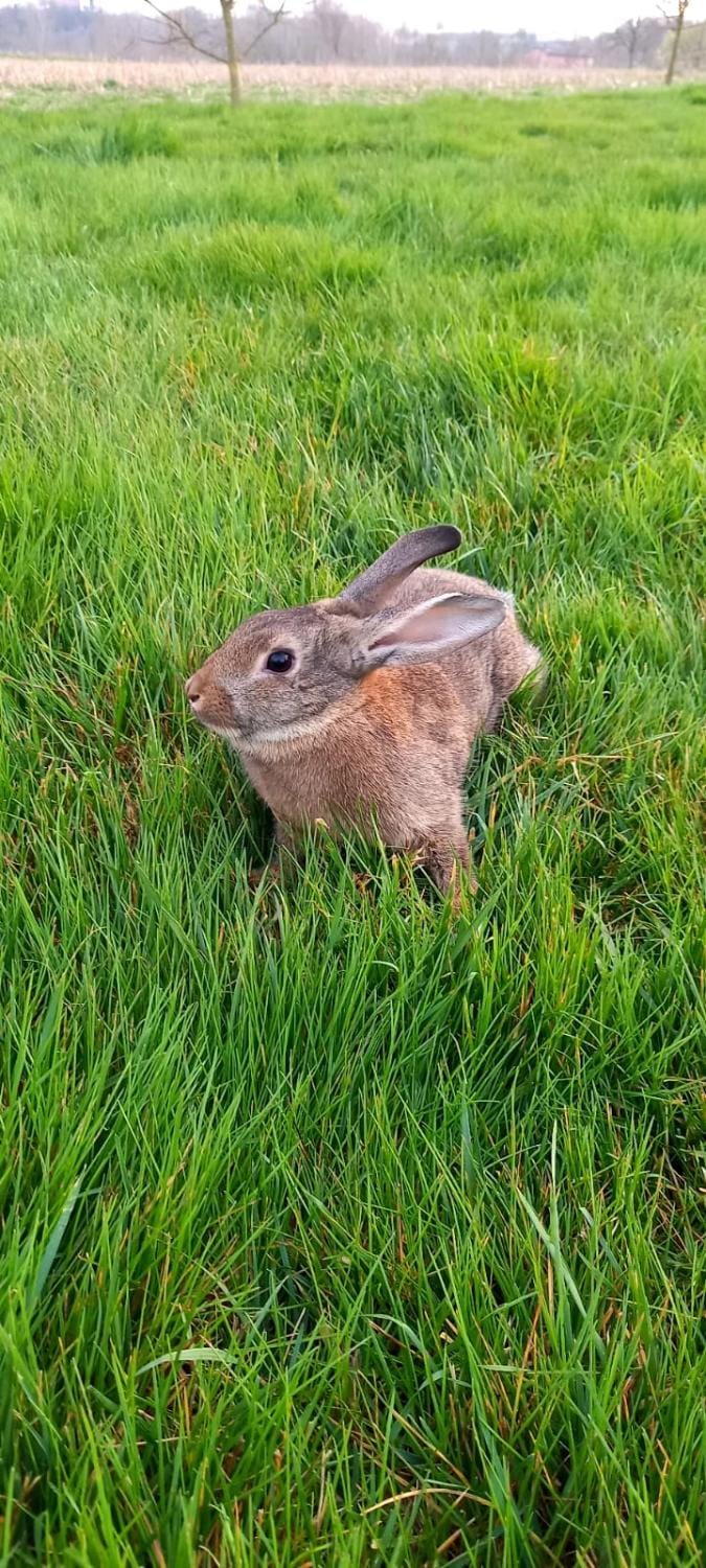 Corte di Tosina Farm Stay in Province of Brescia