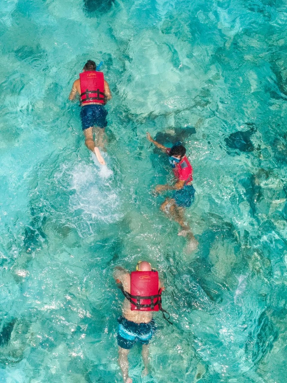 Activities