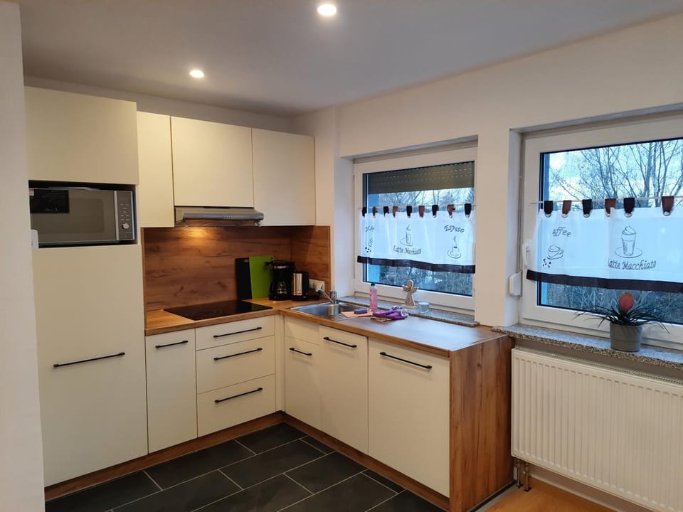 Kitchen or kitchenette, dishwasher