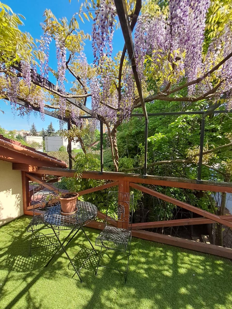 Spring, Garden, Garden view