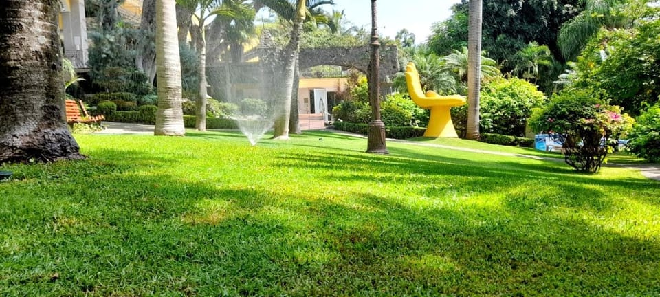 Day, Natural landscape, Garden, Garden view