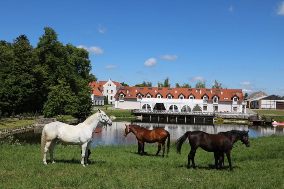 Off site, Natural landscape, Animals