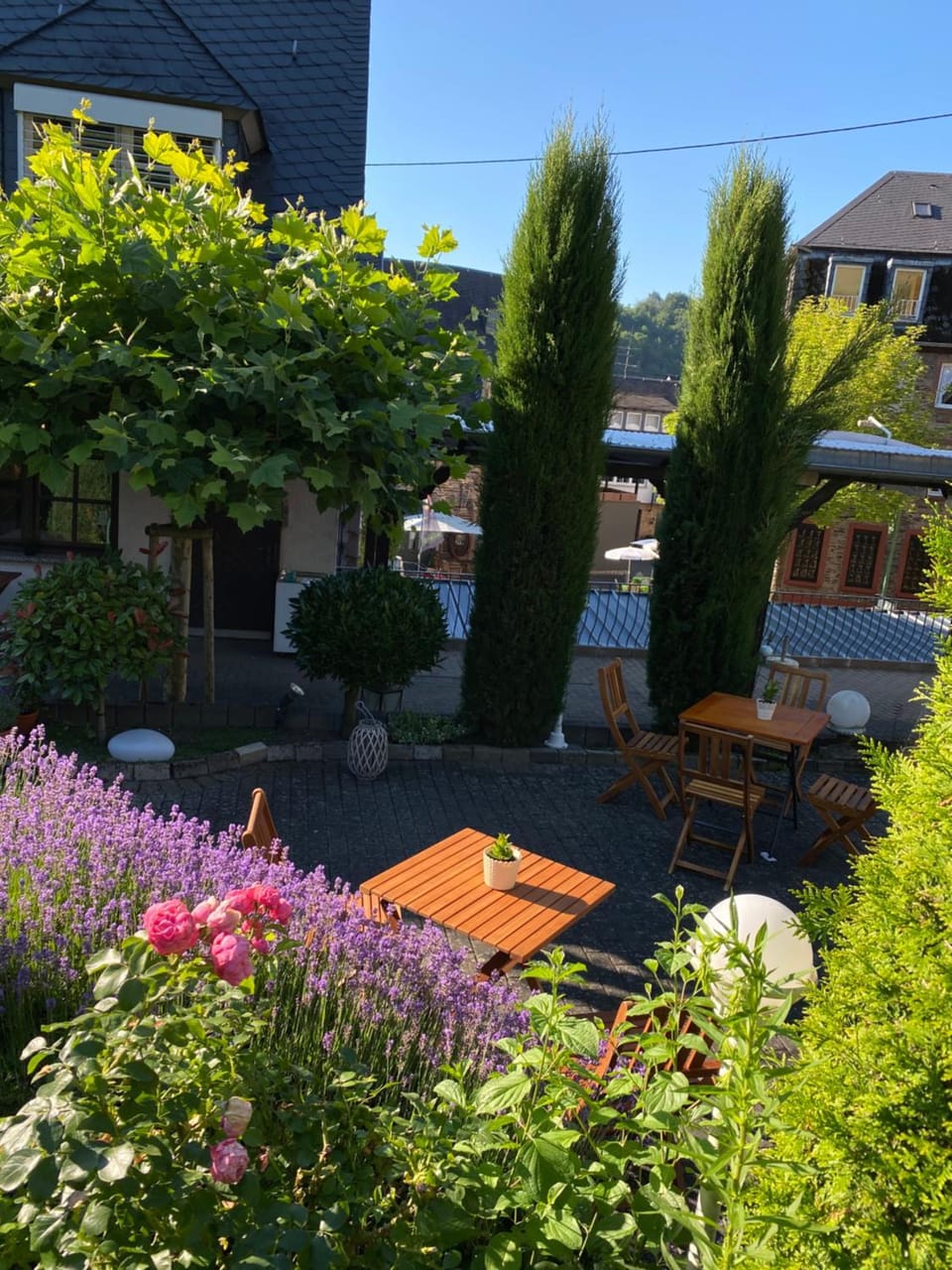 Hotel Springiersbacher-Hof Hotel in Cochem-Zell