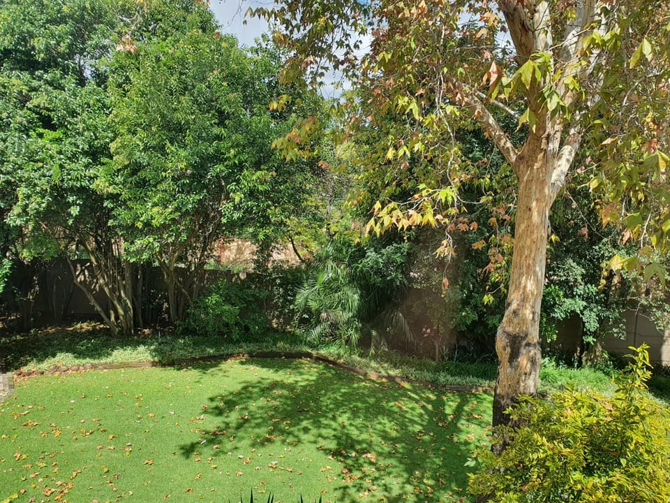 Garden view