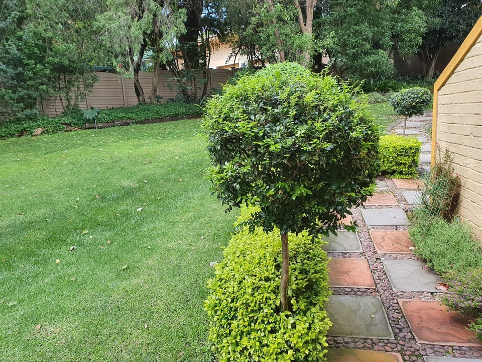 Garden view