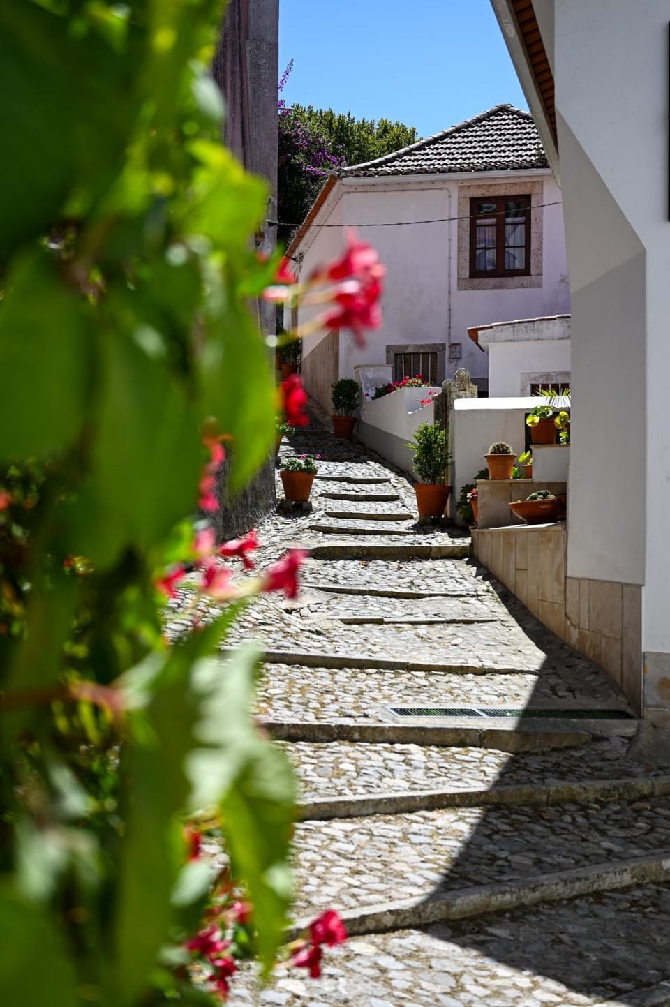 Property building, Spring, Day