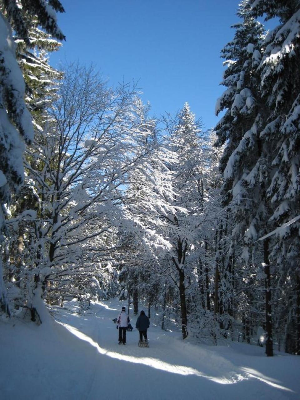 Natural landscape