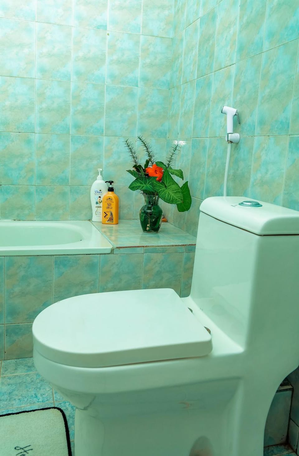 City Villa Hostel in Arusha