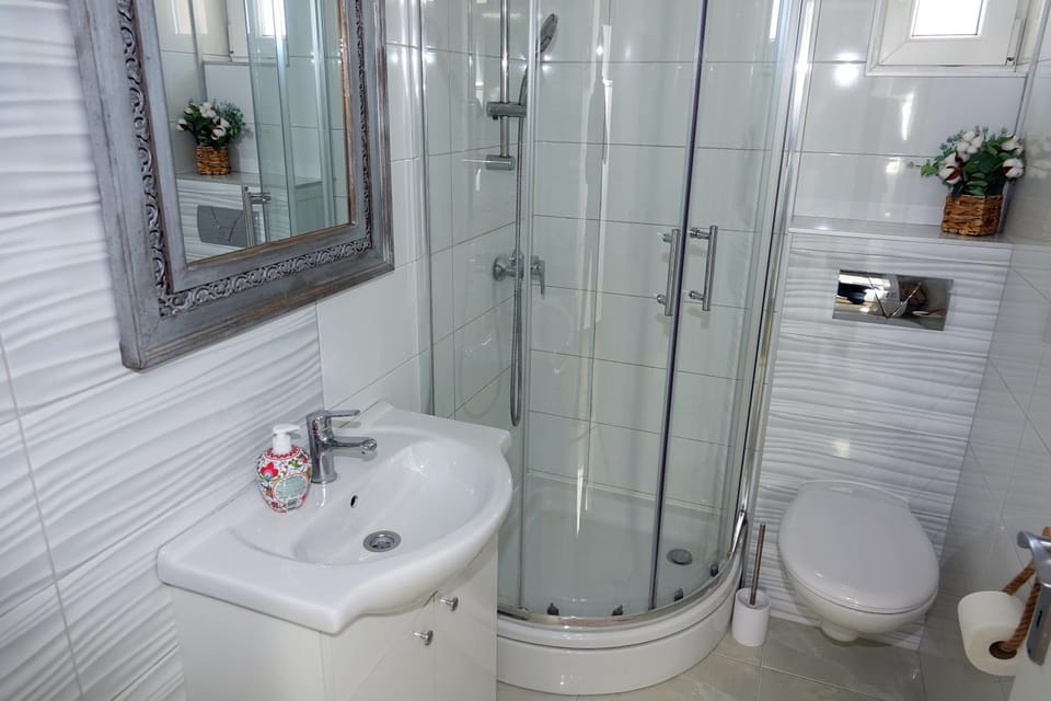 Shower, Toilet
