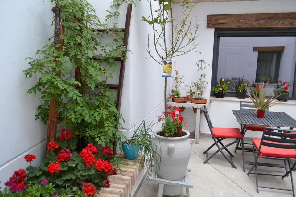 Patio, Facade/entrance