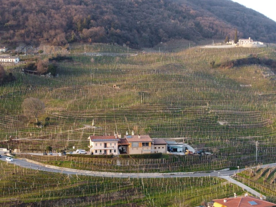 Property building, Natural landscape
